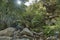 Bridge at Spelunca Gorge is a popular destination for hiking