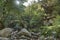 Bridge at Spelunca Gorge is a popular destination for hiking