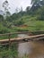 Bridge in sri lankan village