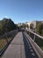 Bridge surrounded by trees