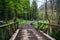 bridge though the mountain stream in the Borjomi forest