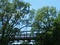 Bridge In The Tree Top Canopy
