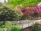 A bridge trees plants and flowers in a garden