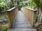 Bridge in a tropical forest leading to the Kitekite Falls waterfall near Auckland, New Zealand