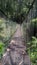 bridge at tropical forest at Mounth salak village indonesia