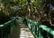 Bridge in tropical forest with wooden green railings.Light and geometric shadow