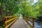 Bridge the Valira del Orient river in Cami Ral in summer in Andorra