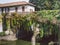 Bridge with vines in Naviglio Martesana, Lombardy, Italy