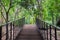 Bridge walkway wood in forest