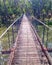 Bridge water Forrest river outback