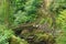 Bridge by the waterfalls at Aira Force, in Cumbria.