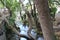 Bridge, waterfalls, river at the old town of Livadeia, in Boeotia region, Central Greece, Greece