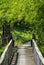 Bridges, bamboo, tropical rain forests,Thailand