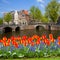 Bridges of canal ring, old town of Amsterdam