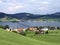 Bridges over artificial lake Sihlsee, Einsiedeln