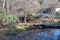 Bridges and walkways over the ravine at Ravine Gardens State Park in Palatka, Florida USA