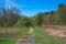 Bridle trail across a meadow in Ohio