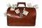 Brief-case with money