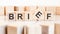 Brief - words from wooden blocks with letters, of short duration instruct or inform brief concept, white background