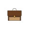 Briefcase and business solid icon, finance