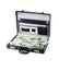 Briefcase with money