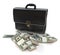 Briefcase and money