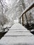 Brigde in the forest with snow