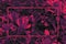 Bright 80s retro background, neon pink glow, tropical leaves in ultraviolet color