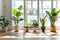 Bright, airy room filled with a diverse collection of houseplants, creating a lush indoor garden oasis