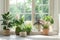 Bright, airy room filled with a diverse collection of houseplants, creating a lush indoor garden oasis