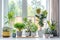 Bright, airy room filled with a diverse collection of houseplants, creating a lush indoor garden oasis