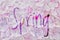 Bright and airy Spring floral text background