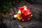 Bright autumn bunch of flowers on the stone stairs