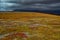 Bright autumn colors in mountain tundra.