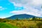 Bright autumn colours on the banks of Tongariro river.