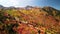 Bright autumn foliage at Snow basin in scenic Ogden valley, Utah
