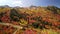 Bright Autumn foliage at Snow Basin in Utah near Mt. Ogden