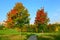 Bright autumn. Red maples in picturesque landscape park. Moscow, Russia