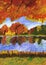 Bright autumn trees on the river bank. Children drawing