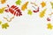 Bright autumnal leaves of rowan, oak, maple trees, rowanberries on white wooden background with copy space