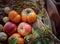 bright background. basket with apples, nuts and persimmons. beautiful background texture. juicy fruits. vitamins