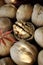 bright background. walnuts on a wooden table, beautiful walnut texture. healthy food