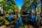 Bright Beautiful Fall Foliage on the Crystal Clear Frio River.