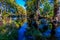 Bright Beautiful Fall Foliage on the Crystal Clear Frio River.