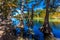 Bright Beautiful Fall Foliage on the Crystal Clear Frio River, Texas.