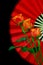 Bright and beautiful flaming red orange roses against red folding fan background