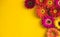 Bright beautiful gerbera flowers on sunny yellow background. Concept of warm summer and early autumn. Place for text