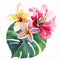 Bright beautiful green floral herbal tropical lovely hawaii cute summer composition of a tropical red pink white yellow flo