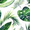 Bright beautiful lovely green herbal tropical wonderful hawaii floral summer pattern of a monstera banana tropic palm leaves