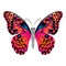 Bright beautiful red butterfly. Vector illustration isolated.